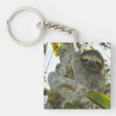 Search for sloths key rings Adorable
