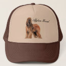 Search for hounds hats Animal