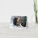 Search for scottish terrier christmas cards Scottie