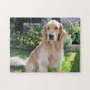Search for golden retriever puzzles Animal