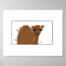 Search for hump posters Wednesday