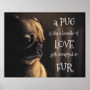 Search for bundle posters Pet
