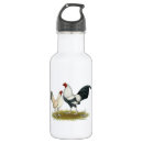 Search for fowl drinkware Chicken