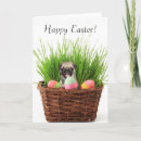 Search for pug easter cards Puppy
