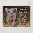 Search for year pig postcards Cute