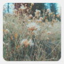 Search for hike stickers California