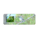 Search for songbirds return address labels Birding