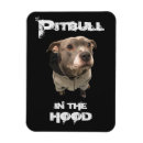 Search for pitbull magnets Animals
