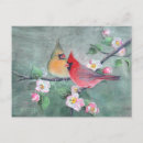 Search for apple tree blossoms postcards Branch