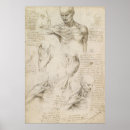 Search for shoulder posters Anatomical