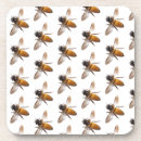 Search for honey bee coasters Bug