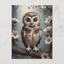 Search for little owl postcards Cute