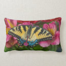 Search for peruvian cushions Pink