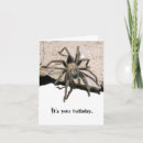 Search for tarantula cards Arachnid
