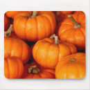 Search for pumpkin mousepads Squash