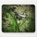 Search for dragon fly electronics Bug