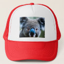 Search for love bear hats Wildlife
