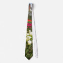 Search for tulip ties Landscape