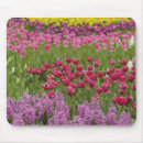 Search for environment mousepads Adam jones