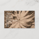 Search for dahlia flower business cards Photography