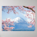 Search for cherry blossom posters Lake kawaguchi
