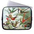 Search for colourful bird cases Flower