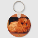 Search for guinea key rings Furry