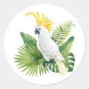 Search for cockatoo stickers Wildlife