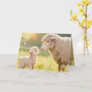 Search for admiration cards invites Mother