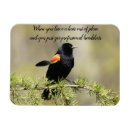Search for bad day magnets Bird