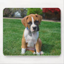 Search for boxers mousepads Dog