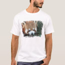 Search for australia zoo tshirts Bear