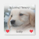 Search for in loving memory magnets Cat