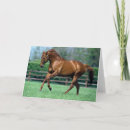 Search for stallions cards Farm