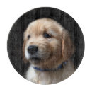 Search for labrador chopping boards Cute baby animal