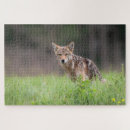 Search for blurred photography Canada