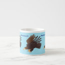Search for falconry mugs Bird of prey