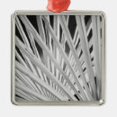 Search for adams christmas tree decorations Red