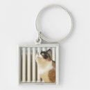 Search for cat hair key rings Animal