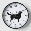 Search for duck clocks Toller