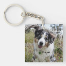 Search for merle key rings Pet