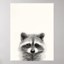 Search for woodland animals posters Raccoon