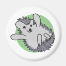 Search for hedgehog magnets Cute