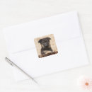 Search for german shepherd puppy stickers Cute