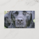 Search for labrador business cards Black lab