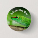 Search for gecko accessories Nature