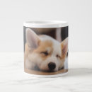 Search for sleepy dog mugs Pet