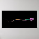 Search for fertility art Horizontal