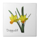 Search for daffodil tiles Green