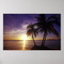 Search for negril posters Beach